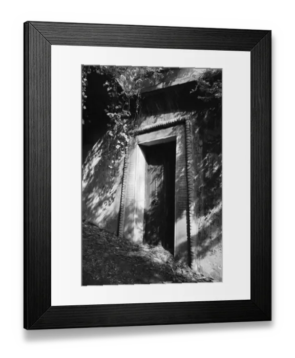 Framed Print : Highgate Cemetery MF001771_50