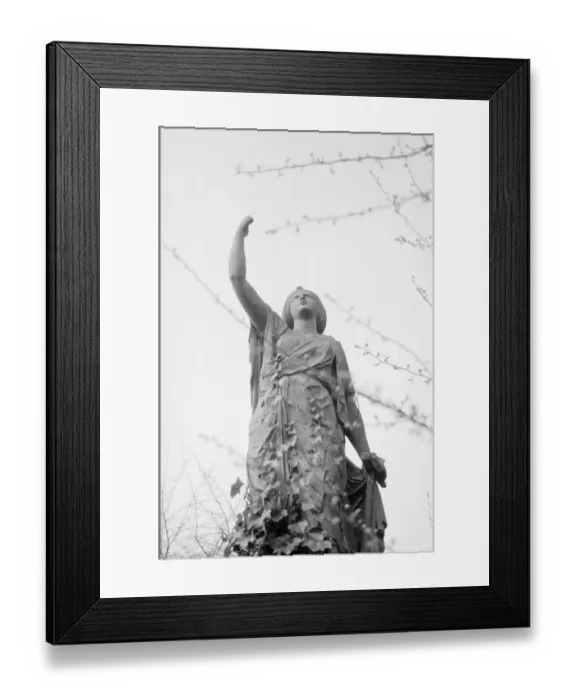 Framed Print : Highgate Cemetery MF001801_13