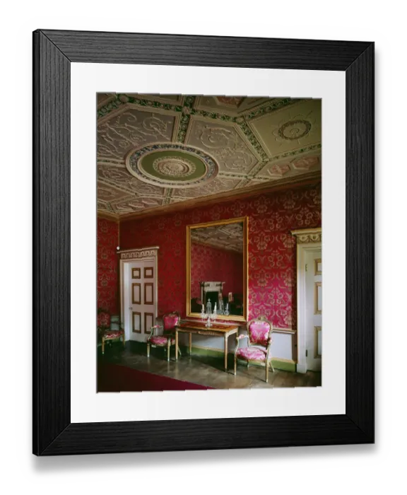 Framed Print : Great Drawing Room, Audley End House J960205