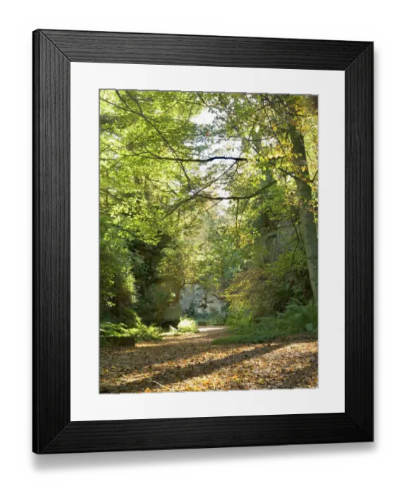 Framed Print : Belsay Quarry Garden N060829