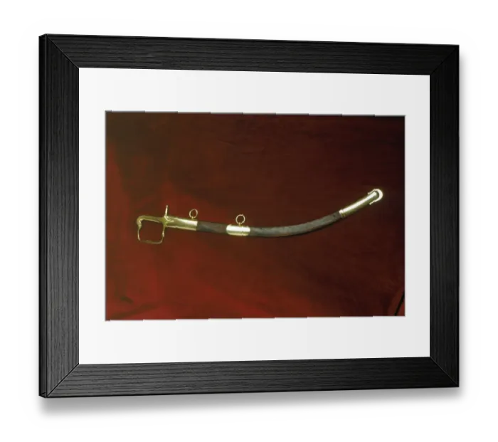 Framed Print : Duke of Wellingtons sabre K040688
