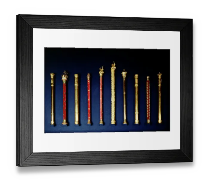 Framed Print : Duke of Wellingtons batons K040689
