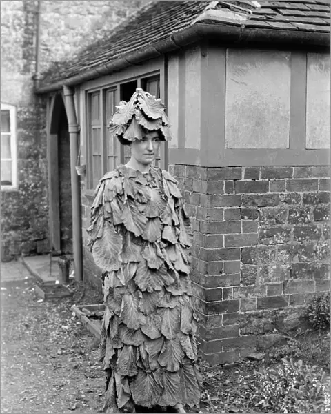 Cabbage leaf costume BB97_08307