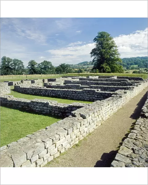 Chesters Roman Fort K850145