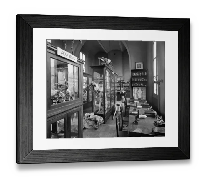 Framed Print : Masons College, Birmingham BL14248 Framed Print : Masons College, Birmingham BL14248