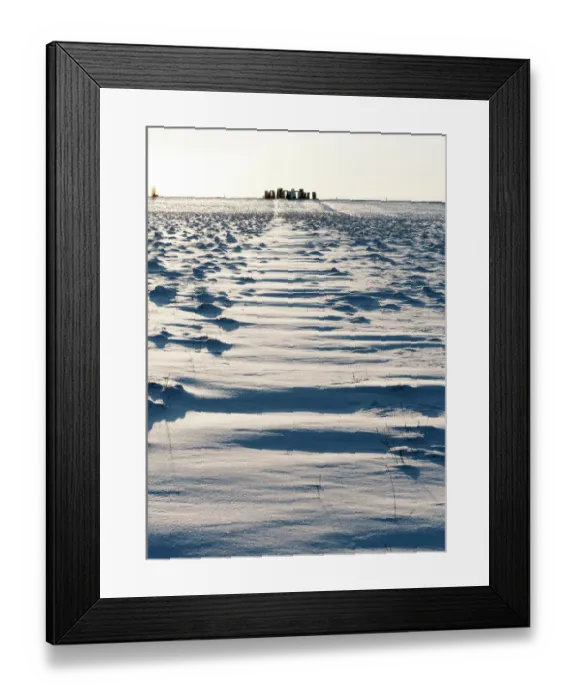 Framed Print : Stonehenge N100564