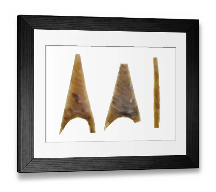 Framed Print : Neolithic arrowheads N100547 Framed Print : Neolithic arrowheads N100547