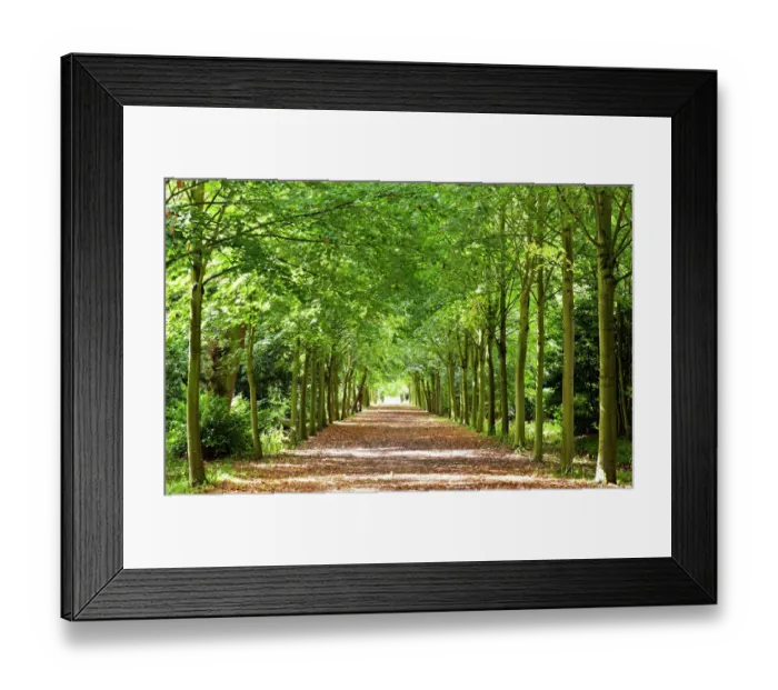 Framed Print : Wrest Park Gardens N100579