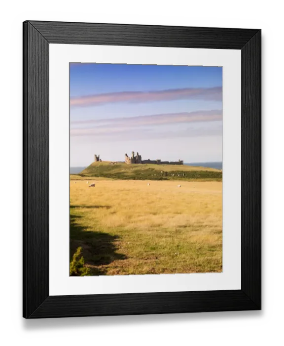 Framed Print : Dunstanburgh Castle N060222 Framed Print : Dunstanburgh Castle N060222