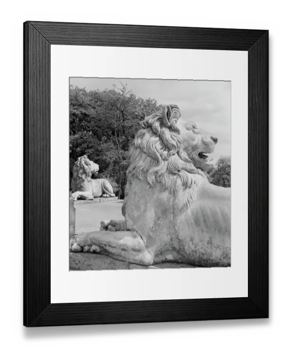 Framed Print : Alnwick lions a98_05038