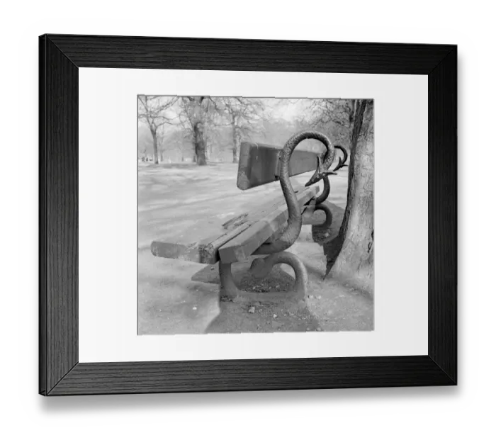 Framed Print : Bench in Kensington Gardens a98_06267 Framed Print : Bench in Kensington Gardens a98_06267