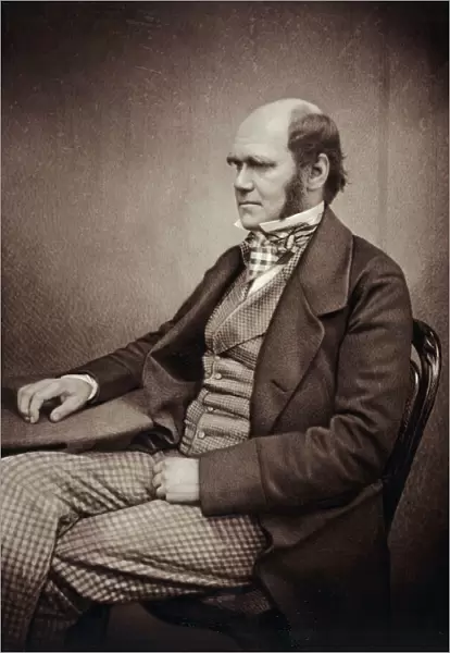 Charles Darwin K970247