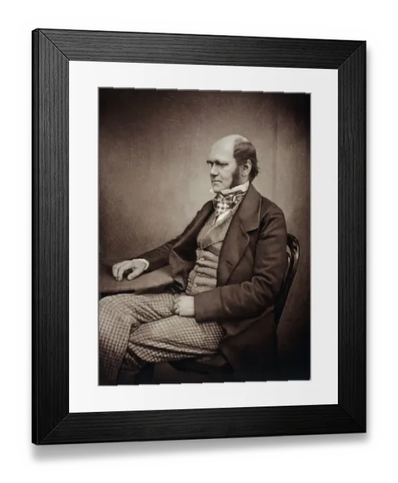 Framed Print : Charles Darwin K970247 Framed Print : Charles Darwin K970247