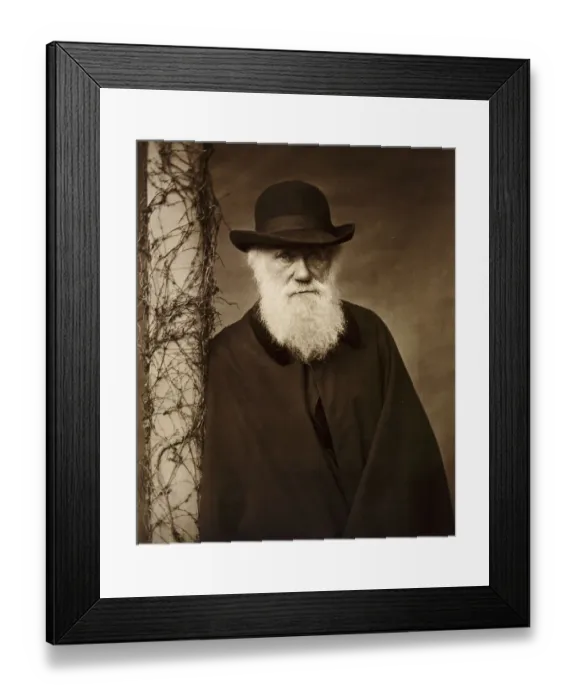 Framed Print : Charles Darwin K980123