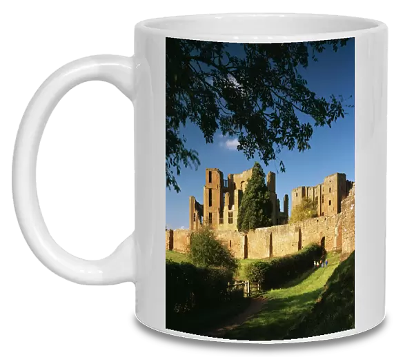 Kenilworth Castle J050140