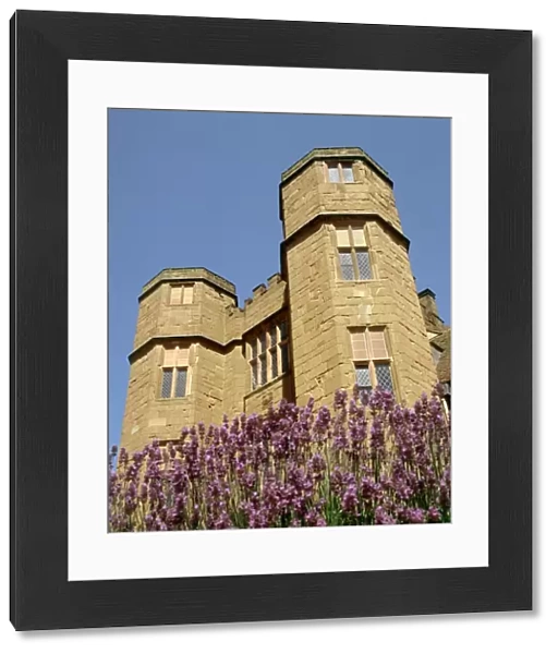 Kenilworth Castle gatehouse K020669