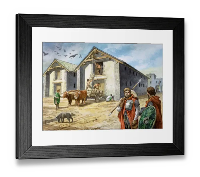 Framed Print : Birdoswald Roman Fort J050055 Framed Print : Birdoswald Roman Fort J050055