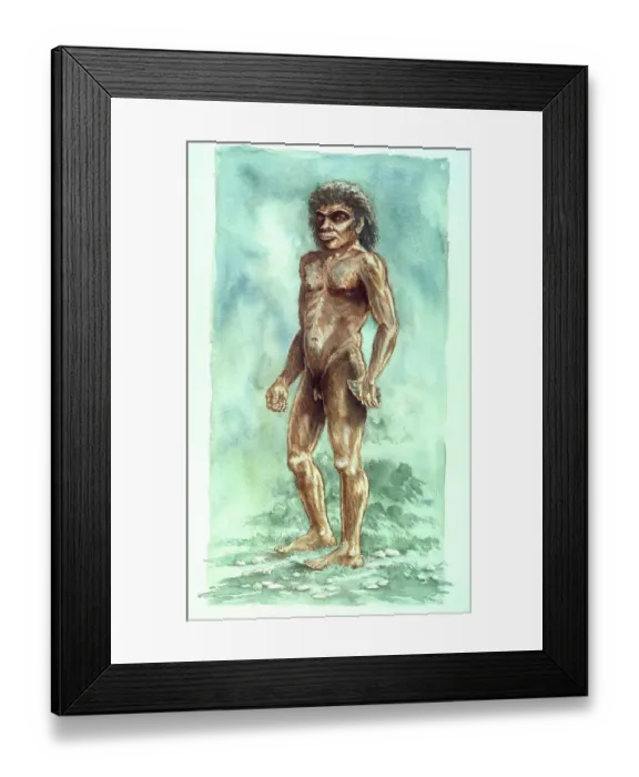 Framed Print : Boxgrove Man J940257 Framed Print : Boxgrove Man J940257