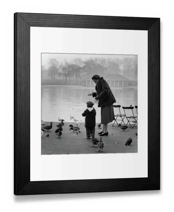 Framed Print : Hyde Park aa099141