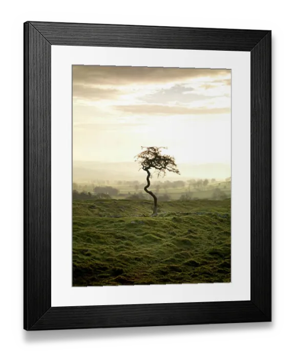 Framed Print : Hadrians Wall N070326