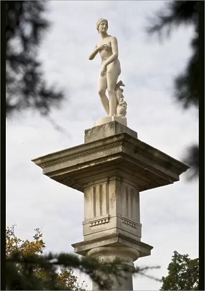 Venus de Medici statue N090702