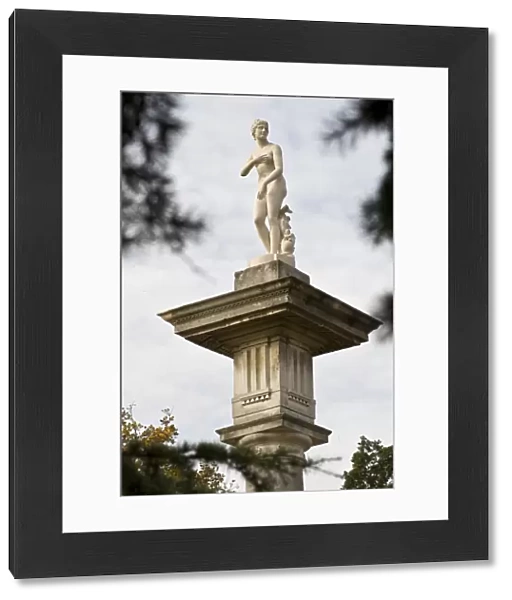 Venus de Medici statue N090702