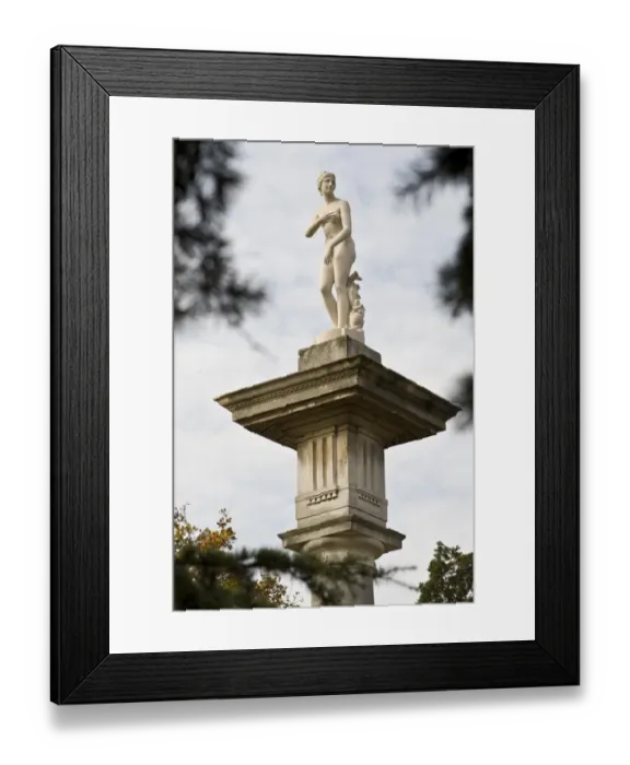 Framed Print : Venus de Medici statue N090702