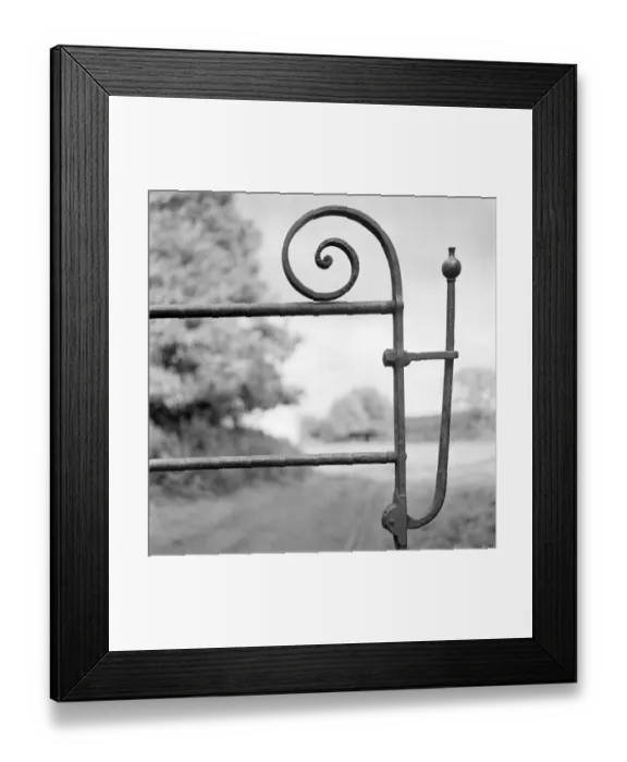 Framed Print : Gate latch a98_05472