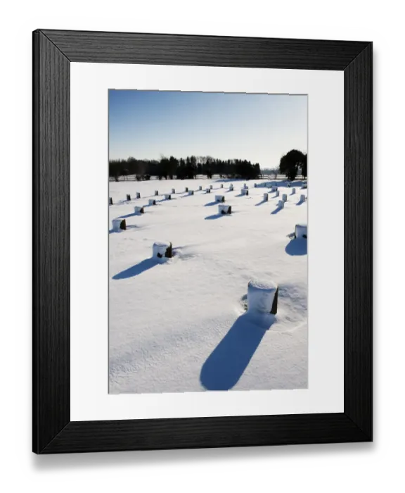 Framed Print : Woodhenge N100698