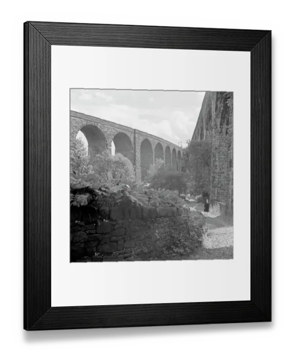Framed Print : Railway Viaducts a98_05399