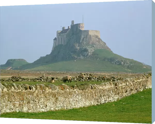 Lindisfarne Castle K011703