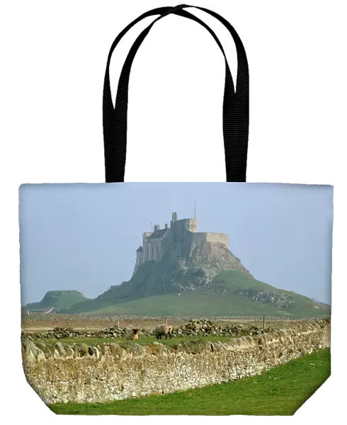 Lindisfarne Castle K011703