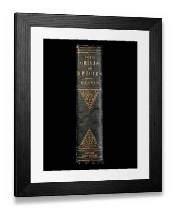 Framed Print : On the Origin of Species K970334