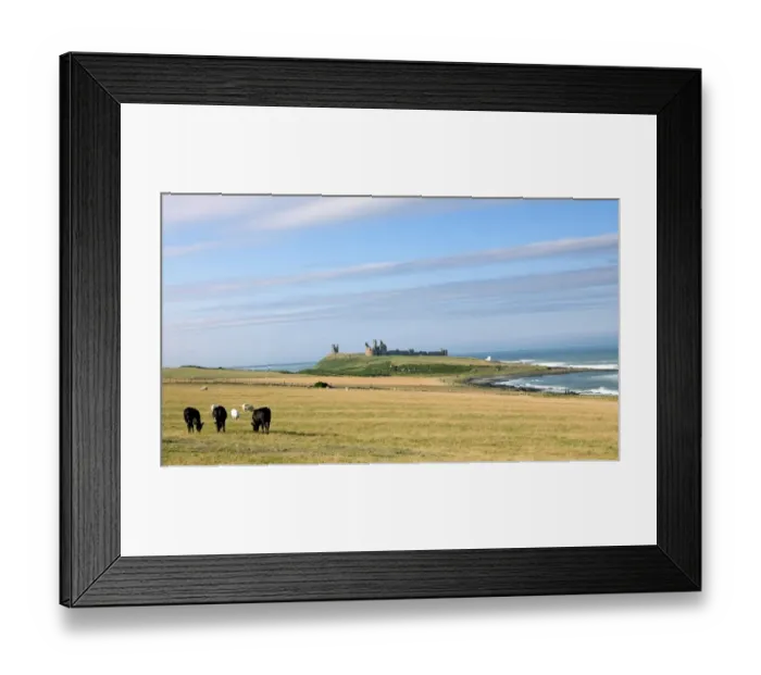 Framed Print : Dunstanburgh Castle N060220