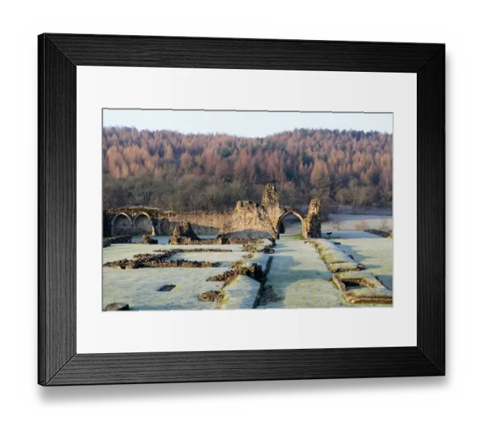 Framed Print : Kirkham Priory N110102