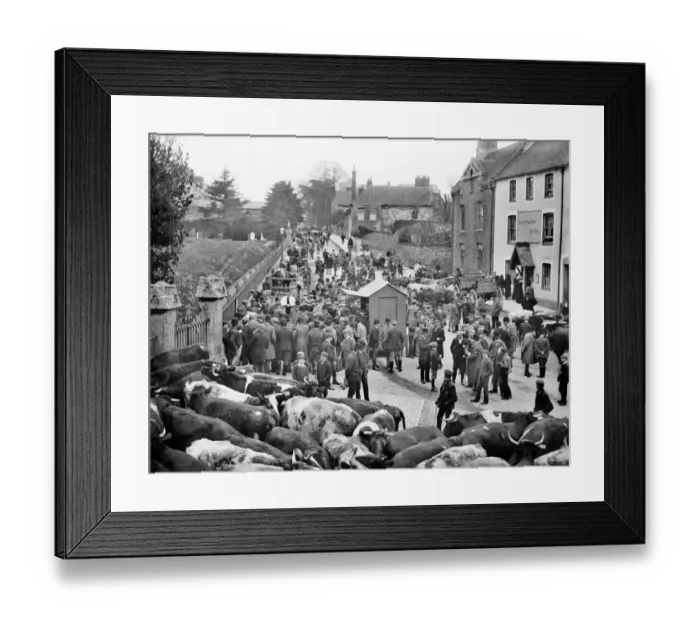 Framed Print : Faringdon Cattle Market CC97_02236 Framed Print : Faringdon Cattle Market CC97_02236