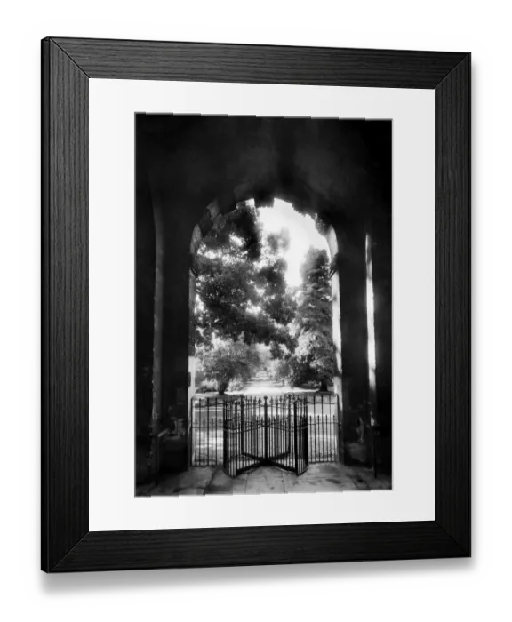 Framed Print : Main gate, Botanic Garden, Oxford CC50_00369