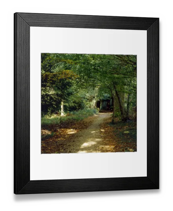Framed Print : Down House Sandwalk K011582 Framed Print : Down House Sandwalk K011582