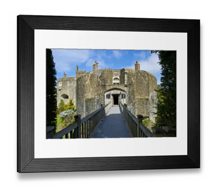 Framed Print : Walmer Castle N110116