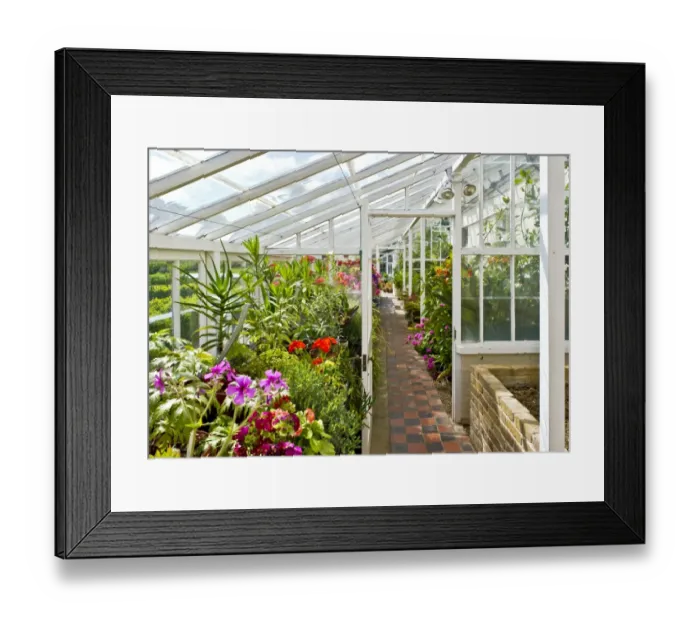 Framed Print : Walmer Castle greenhouse N110117