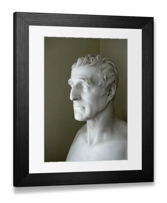 Framed Print : Duke of Wellington N110118