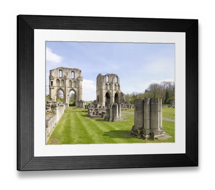 Framed Print : Roche Abbey N070284