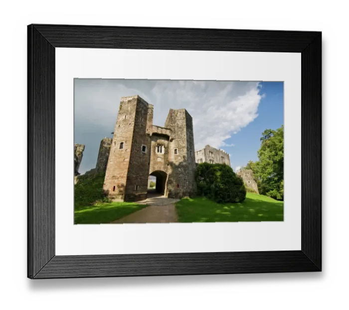 Framed Print : Berry Pomeroy Castle N090754