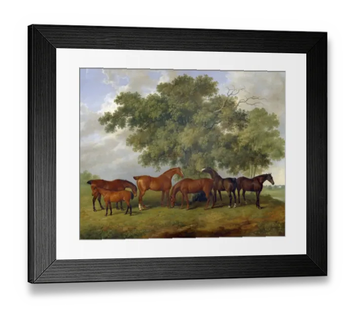Framed Print : Barenger - The Theobald Stud J940563 Framed Print : Barenger - The Theobald Stud J940563