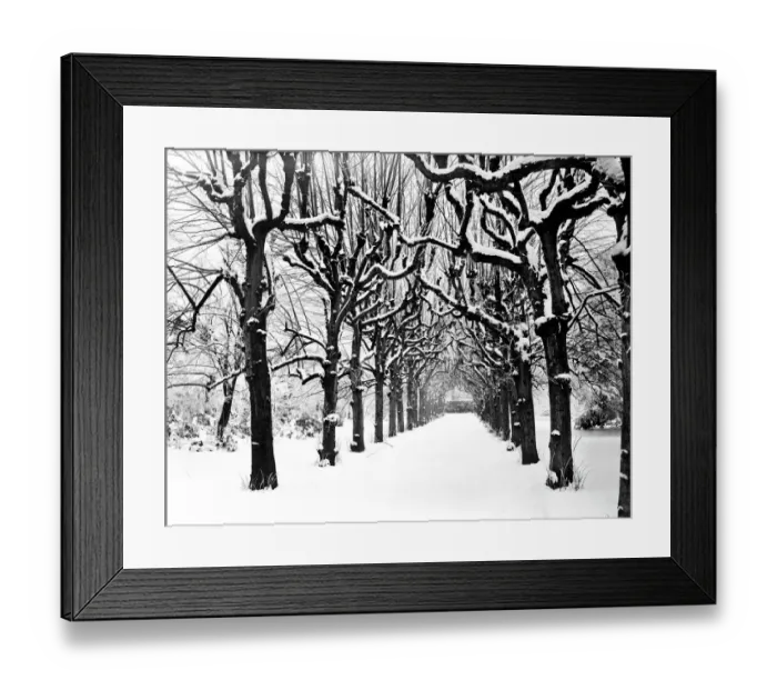 Framed Print : Lime Walk in the snow CC54_00329