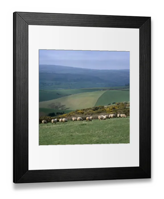 Framed Print : Bratton Ball K020595