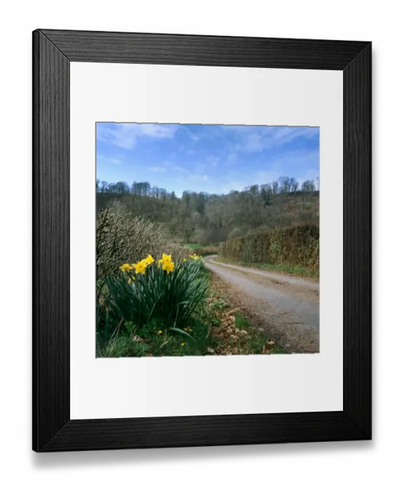 Framed Print : Exmoor country lane K020605
