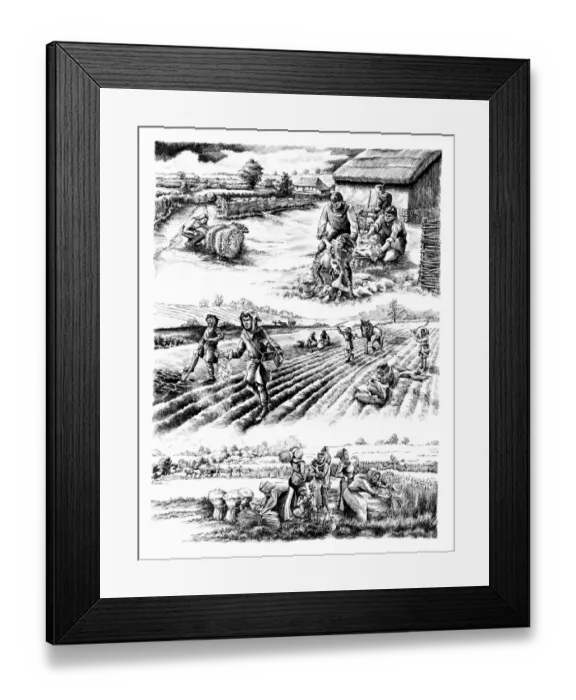 Framed Print : Medieval farming N070208