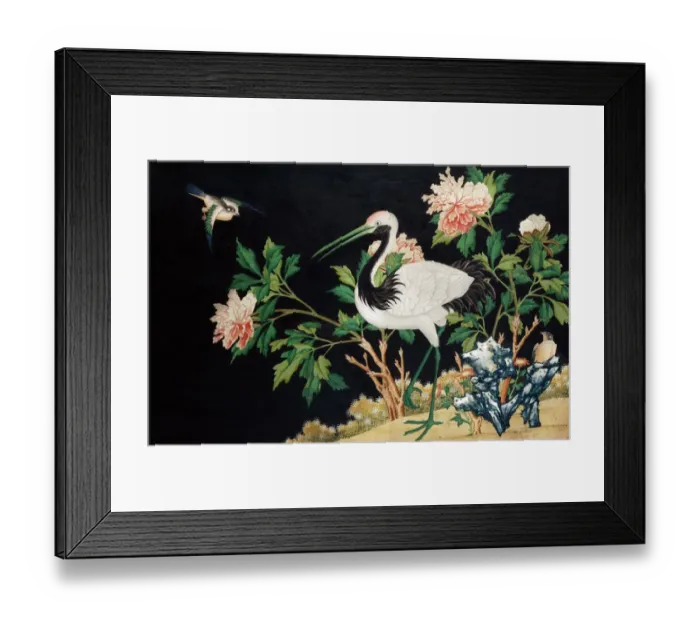 Framed Print : Manchurian Crane J920149 Framed Print : Manchurian Crane J920149