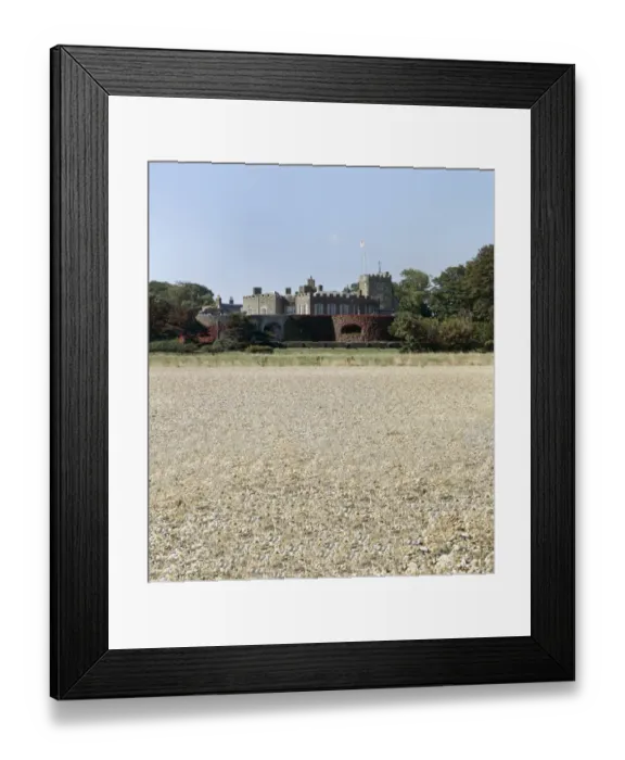 Framed Print : Walmer Castle from the beach J860338